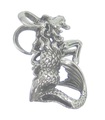 Grand pendentif en argent sterling Capricorne .925 x 1 Zodiacs Zodiac Goats --SFP