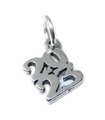 2023 year sterling silver charm .925 x 1 Years Graduation Birthday charms