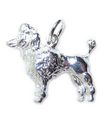 Caniche charme chien en argent sterling .925 x 1 Chiens & Caniches charms