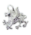 Breloque Dragon en argent sterling .925 x 1 Breloque Dragons gallois