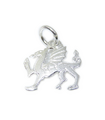 Drago argento sterling 2D fascino .925 x 1 Welsh Dragons charms