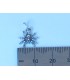 Spider Tarantula liten charm, 925 x 1 Spindlar