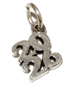 2026 year sterling silver charm .925 x 1 Years Graduation Birthday charms