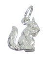 Squirrel sterling silver charm .925 x 1 Sqirrel Squirels Squirrels charms