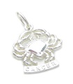 Kreeft de krab sterling zilveren dierenriem charme .925 x 1 Zodiacs Charms