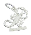 Scorpio Zodiac Sterling Silver Charm .925 x 1 Scorpions berlocker