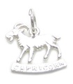 Capricorn sterling silver charm .925 x 1 Goat Zodiacs Zodiac charms