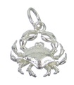 Crab Sterling Silber Charm .925 x 1 Krebskrabben Zodiacs Zodiac Charms