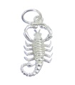 Scorpion charm i sterling silver .925 x 1 Scorpio Zodiac Scorpions berlocker