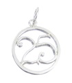 25 -årsdag sterling silver charm .925 x 1 födelsedagar jubileum charm