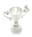 Bedel van sterlingzilver trofee beker .925 x 1 trofeeën bekers Winnende bedels