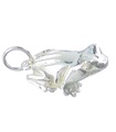 Kröte Frosch Sterling Silber Charm .925 x 1 Reptiles Toads Frogs Charms