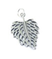 Ciondolo foglia argento sterling .925 x 1 Ciondoli alberi e foglie