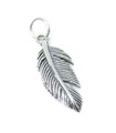 Charm de plumas de plata de ley .925 x 1 Charms de plumas