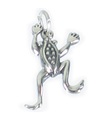 Frog Toad 2D Sterling Silber Charm .925 x 1 Frogs Toads Charms