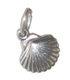 Muschel Muschel Kleine Sterling Silber Charm .925 x 1 Muschel Muscheln