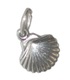 Seashell Sea shell Tiny sterling silver charm .925 x 1 Sea Shell Shells