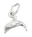 Delfin Tiny Sterling Silber Charm .925 x 1 2D Delfine Tiny Charms