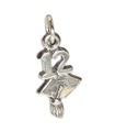 Graduation Mortarboard 2012 charm i sterling silver .925 x1 Graduate charms