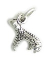 Eagles Claw Liten charm i sterling silver .925 x 1 Eagle Claws charm