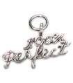 100 Percent Perfect Sterling Silber Charm .925 x 1 Perfection Charms