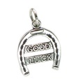 Good Luck Horseshoe sterling zilveren bedel .925 x 1 Geluksbedels