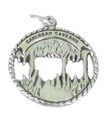 Pendentif à breloques en argent sterling Carlsbad Caverns .925 x 1 Breloques spéléologie