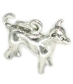 Chihuahua Sterling Silber Hund .925 x 1 Chihuahuas Chiwawa Hunde Charms