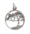 Cypress Tree charm i sterlingsilver .925 x 1 Trä charmar