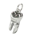 Zahn Molar Sterling Silber Charm .925 x 1 Zähne Wurzel Zahnarzt Charms