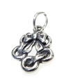 Fem - 5 guldringar, charm i sterlingsilver .925 x 1 julcharm