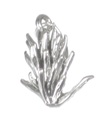 Dije de plata esterlina con planta de pincel indio .925 x1 dijes Castilleja