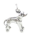 Charm in argento sterling cane Rhodesian Ridgeback .925 x 1 Cani charms