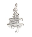 Breloque en argent sterling symbole chinois Long Life .925 x 1 caractères