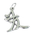 Wohlstand Chinesisches Symbol Sterling Silber Charm .925 x 1 Charms