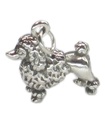 Charm de plata de ley de Perro Poodle .925 x 1 Charms de Perro Poodle