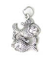 Fisch Sterling Silber Charm-Anhänger .925 x1 Fische Fische Sternzeichen Charms