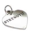 Colgante de plata de ley STRENGTH .925 x 1 Power charms