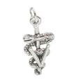 Breloque en argent sterling symbole VET .925 x 1 Breloques vétérinaires vétérinaires