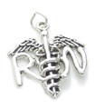 RN Registered Nurse grande fascino in argento sterling .925 x 1 ciondoli infermieristici