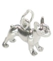 Boston Terrier charm i sterling silver .925 x 1 Terrier hundar charm