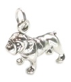 Charm Perro Bulldog en plata de primera ley .925 x 1 Charms Bull Dogs