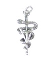 Vet Tech Symbol sterling silver charm .925 x1 Veterinär tekniker berlocker