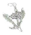 Dandelion sterling silver charm pendant .925 x1 Dandelions Flowers