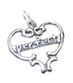 Perfecte sterling zilveren bedelhanger .925 x 1 Perfection charms