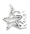 Star with Flames sterling silver charm .925 x 1 Stars on Fire charms