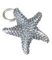 Seestern Sterling Silber Charm .925 x 1 Seesterne Seestern Charms