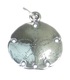 Sand Dollar sterlng silver charm 925 x 1 Snapper Biscuit or Sea Cookie