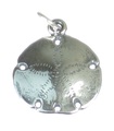 Sand Dollar sterling silver charm 925 x 1 Snapper Biscuit eller Sea Cookie