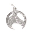 Charm de plata de ley con cabeza de caballo en Horsesheoe .925 x 1 Charms de caballo